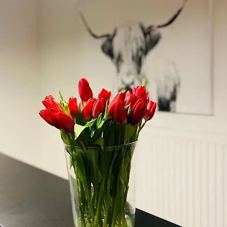 Leo6 Privatzimmervermietung Daire *