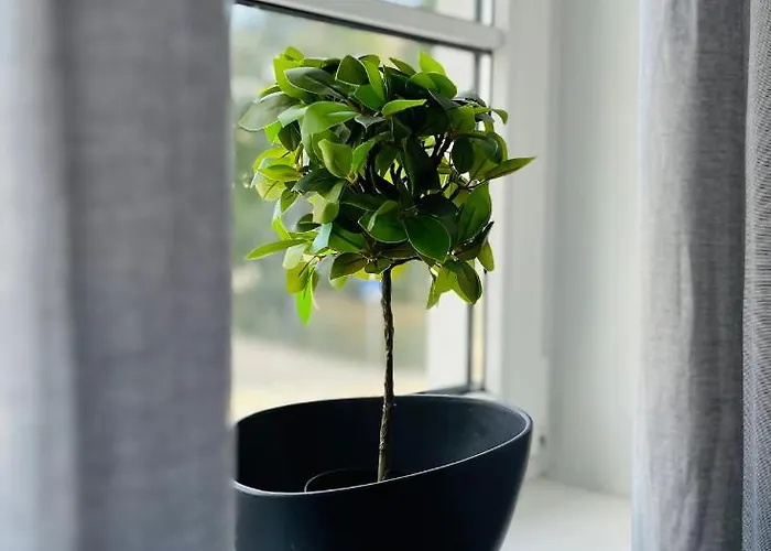 Apartamento Leo6 Privatzimmervermietung