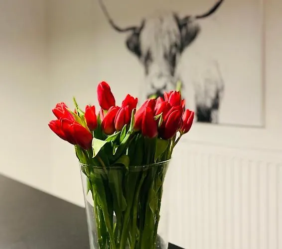 Leo6 Privatzimmervermietung Apartamento *