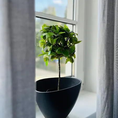 アパート Leo6 Privatzimmervermietung